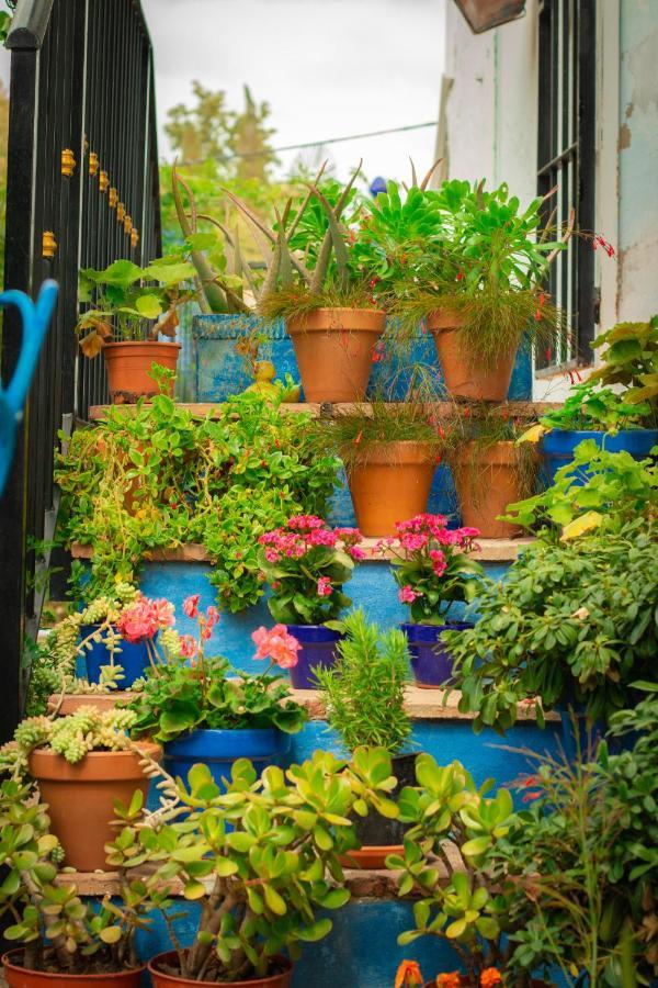 Bohemian Villa - Malaga Alora Exterior photo